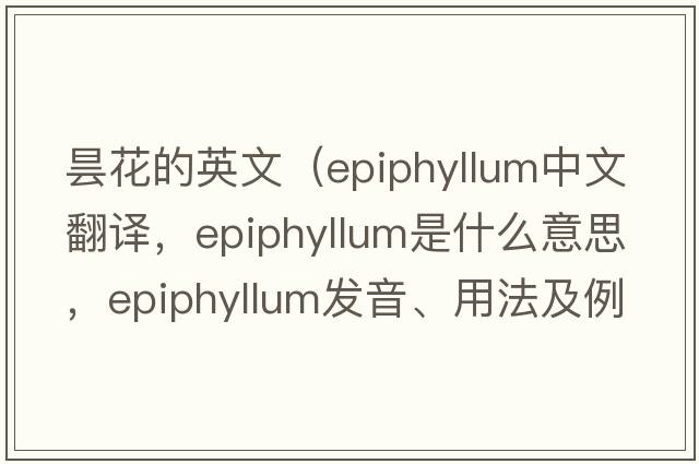 曇花的英文（epiphyllum中文翻譯，epiphyllum是什么意思，epiphyllum發(fā)音、用法及例句）