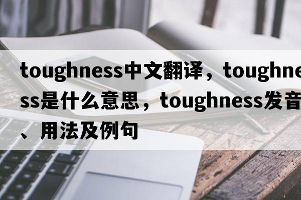 toughness中文翻譯，toughness是什么意思，toughness發(fā)音、用法及例句