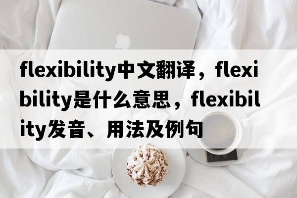flexibility中文翻譯，flexibility是什么意思，flexibility發(fā)音、用法及例句