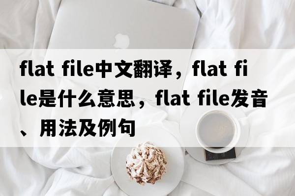 flat file中文翻譯，flat file是什么意思，flat file發(fā)音、用法及例句