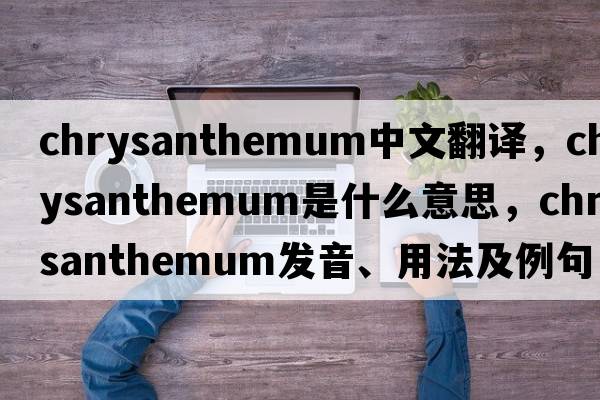 chrysanthemum中文翻譯，chrysanthemum是什么意思，chrysanthemum發(fā)音、用法及例句