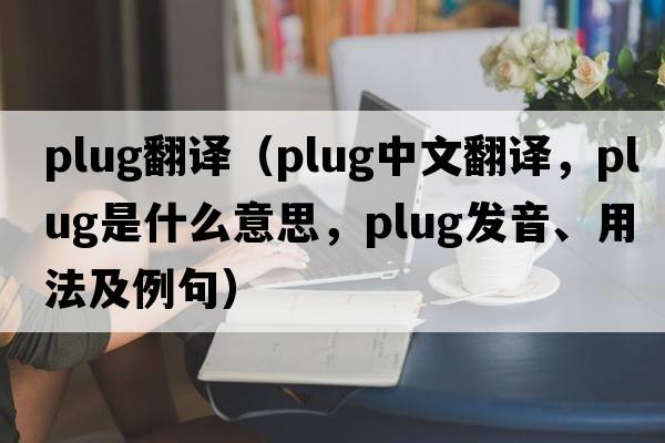 plug翻譯（plug中文翻譯，plug是什么意思，plug發(fā)音、用法及例句）