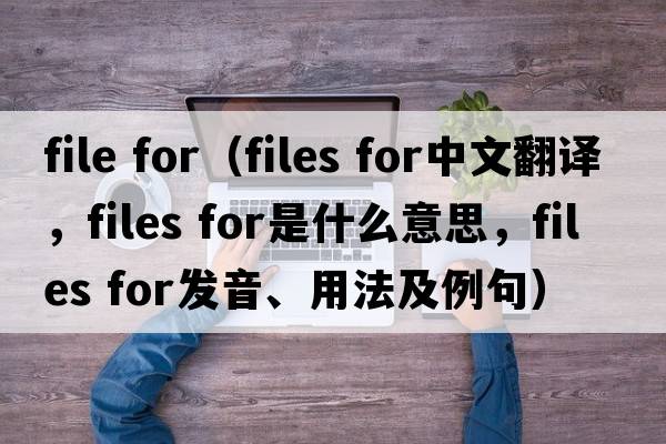 file for（files for中文翻譯，files for是什么意思，files for發(fā)音、用法及例句）