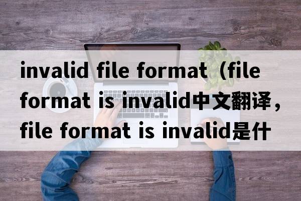 invalid file format（file format is invalid中文翻譯，file format is invalid是什么意思，file format is invalid發(fā)音、