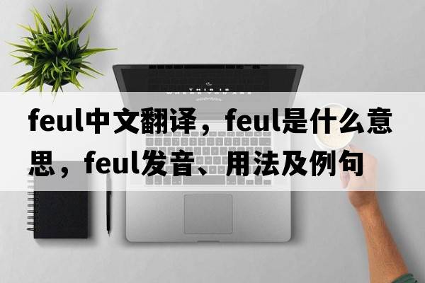 feul中文翻譯，feul是什么意思，feul發(fā)音、用法及例句