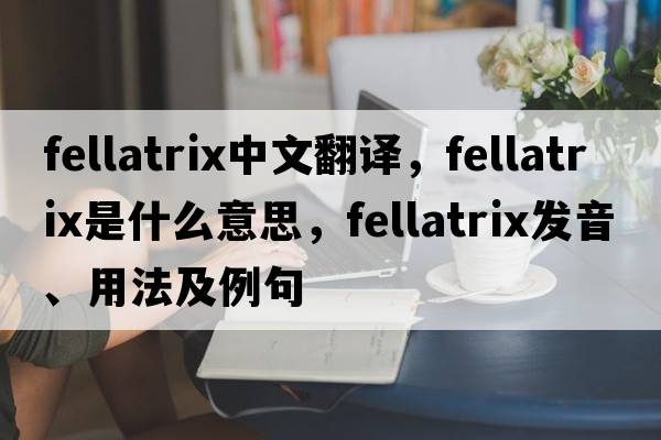 fellatrix中文翻譯，fellatrix是什么意思，fellatrix發(fā)音、用法及例句