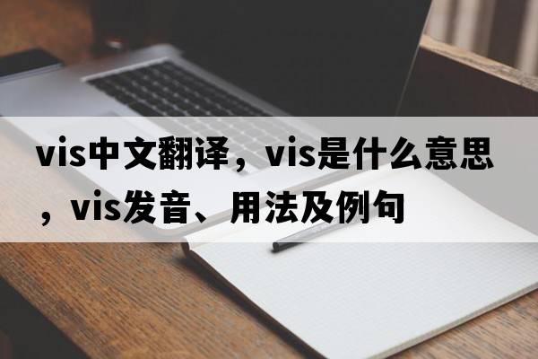 vis中文翻譯，vis是什么意思，vis發(fā)音、用法及例句