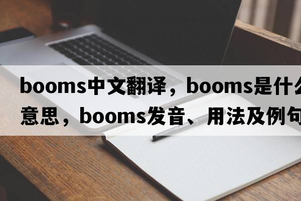 booms中文翻譯，booms是什么意思，booms發(fā)音、用法及例句