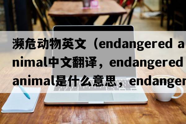 瀕危動(dòng)物英文（endangered animal中文翻譯，endangered animal是什么意思，endangered animal發(fā)音、用法及例句）
