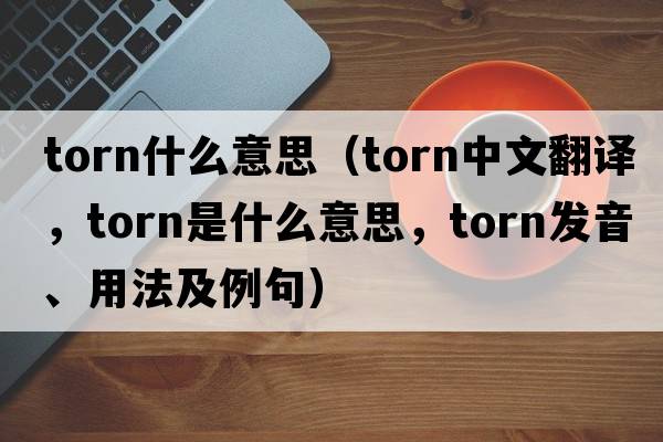 torn什么意思（torn中文翻譯，torn是什么意思，torn發(fā)音、用法及例句）