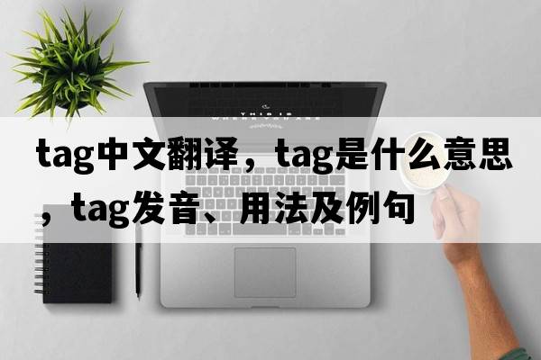 tag中文翻譯，tag是什么意思，tag發(fā)音、用法及例句