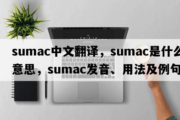 sumac中文翻譯，sumac是什么意思，sumac發(fā)音、用法及例句