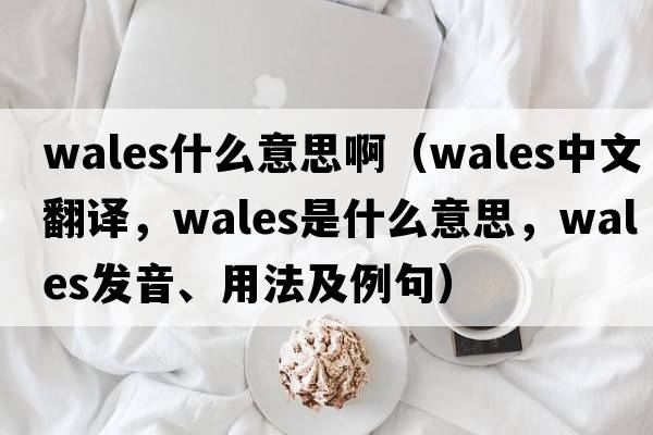 wales什么意思?。╳ales中文翻譯，wales是什么意思，wales發(fā)音、用法及例句）
