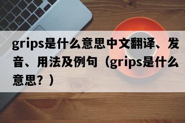 grips是什么意思中文翻譯、發(fā)音、用法及例句（grips是什么意思？）