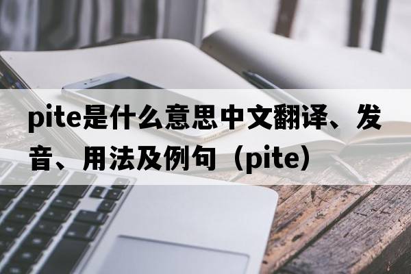 PITE是什么意思中文翻譯、發(fā)音、用法及例句（pite）