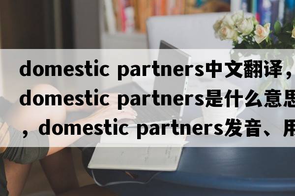 domestic partners中文翻譯，domestic partners是什么意思，domestic partners發(fā)音、用法及例句