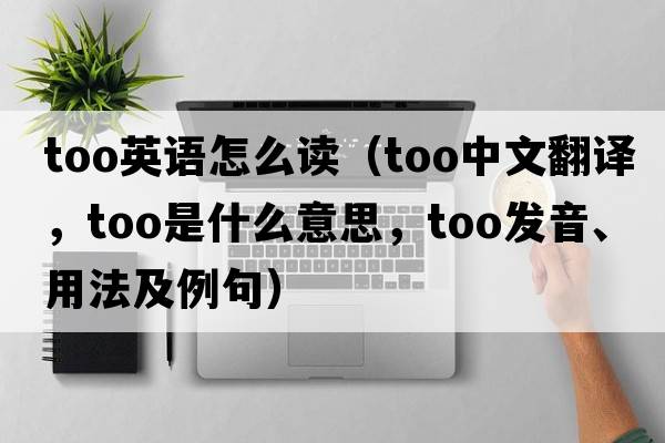 too英語(yǔ)怎么讀（too中文翻譯，too是什么意思，too發(fā)音、用法及例句）