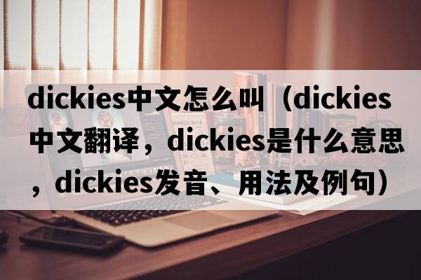 dickies中文怎么叫（dickies中文翻譯，dickies是什么意思，dickies發(fā)音、用法及例句）