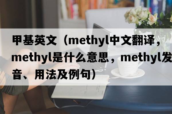 甲基英文（methyl中文翻譯，methyl是什么意思，methyl發(fā)音、用法及例句）