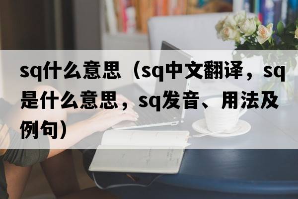 sq什么意思（sq中文翻譯，sq是什么意思，sq發(fā)音、用法及例句）