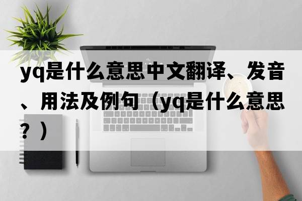 Yq是什么意思中文翻譯、發(fā)音、用法及例句（yq是什么意思？）