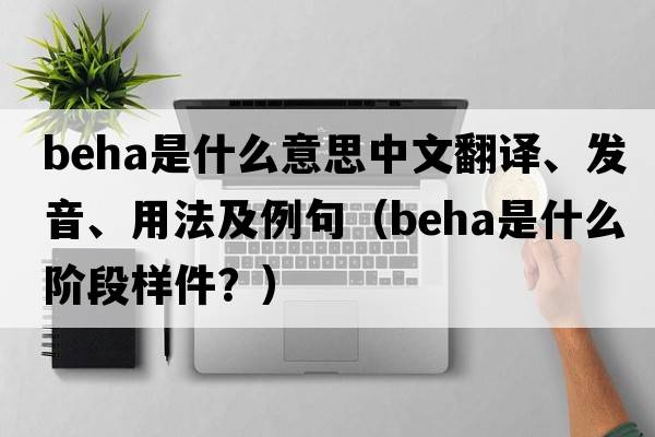 BEHA是什么意思中文翻譯、發(fā)音、用法及例句（beha是什么階段樣件？）