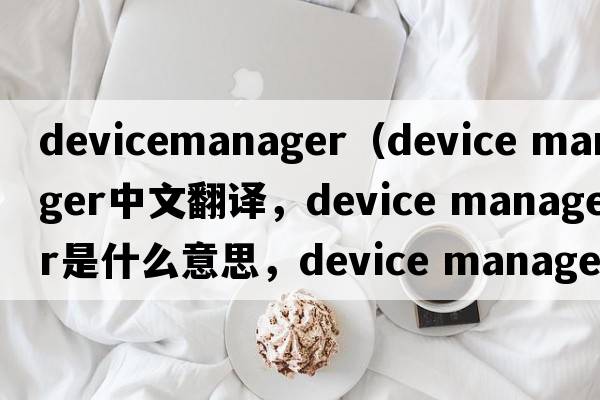 devicemanager（device manager中文翻譯，device manager是什么意思，device manager發(fā)音、用法及例句）