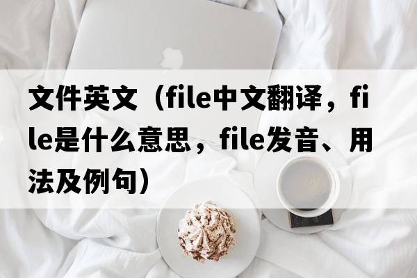 文件英文（file中文翻譯，file是什么意思，file發(fā)音、用法及例句）