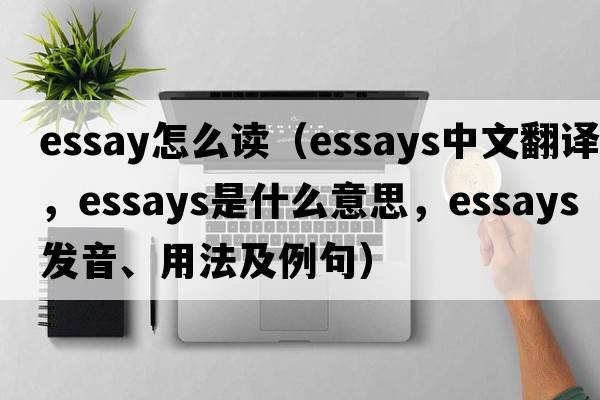 essay怎么讀（essays中文翻譯，essays是什么意思，essays發(fā)音、用法及例句）