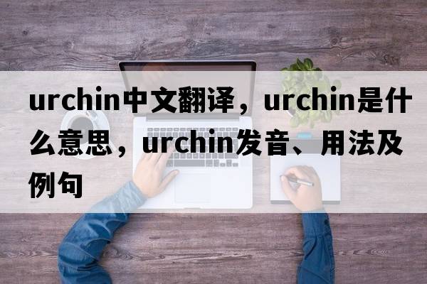urchin中文翻譯，urchin是什么意思，urchin發(fā)音、用法及例句