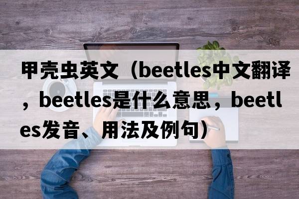 甲殼蟲(chóng)英文（beetles中文翻譯，beetles是什么意思，beetles發(fā)音、用法及例句）
