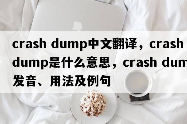 crash dump中文翻譯，crash dump是什么意思，crash dump發(fā)音、用法及例句