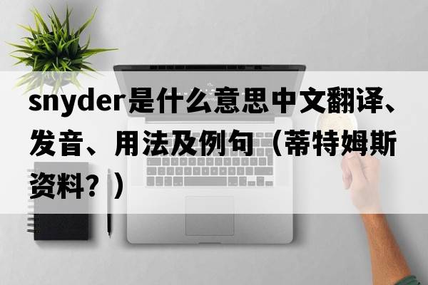 snyder是什么意思中文翻譯、發(fā)音、用法及例句（蒂特姆斯資料？）