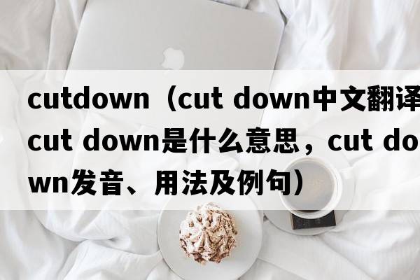 cutdown（cut down中文翻譯，cut down是什么意思，cut down發(fā)音、用法及例句）