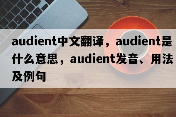 audient中文翻譯，audient是什么意思，audient發(fā)音、用法及例句