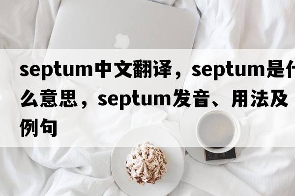 septum中文翻譯，septum是什么意思，septum發(fā)音、用法及例句