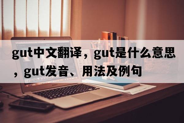 gut中文翻譯，gut是什么意思，gut發(fā)音、用法及例句