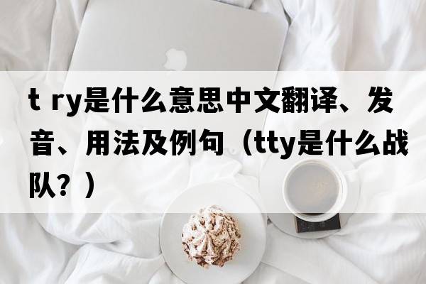t ry是什么意思中文翻譯、發(fā)音、用法及例句（tty是什么戰隊？）