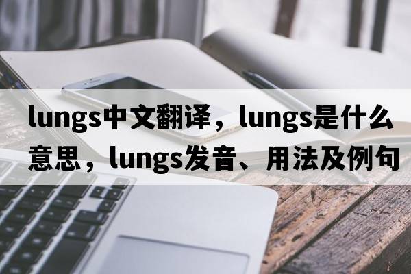 lungs中文翻譯，lungs是什么意思，lungs發(fā)音、用法及例句