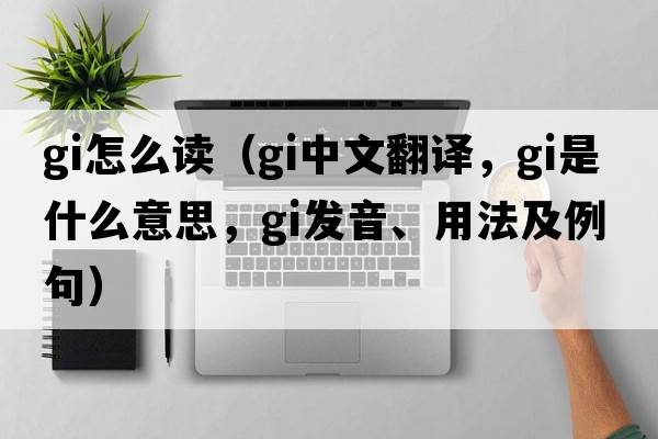gi怎么讀（gi中文翻譯，gi是什么意思，gi發(fā)音、用法及例句）