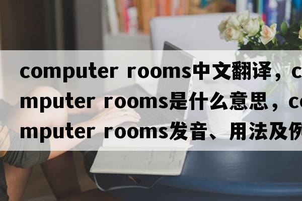 computer rooms中文翻譯，computer rooms是什么意思，computer rooms發(fā)音、用法及例句