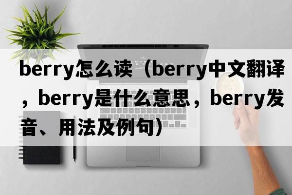 berry怎么讀（berry中文翻譯，berry是什么意思，berry發(fā)音、用法及例句）