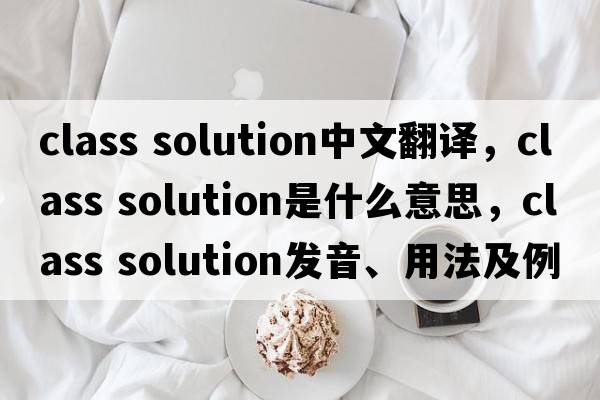 class solution中文翻譯，class solution是什么意思，class solution發(fā)音、用法及例句