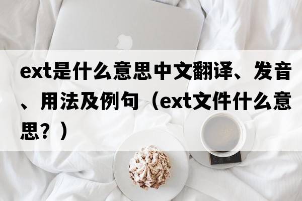 ext是什么意思中文翻譯、發(fā)音、用法及例句（ext文件什么意思？）