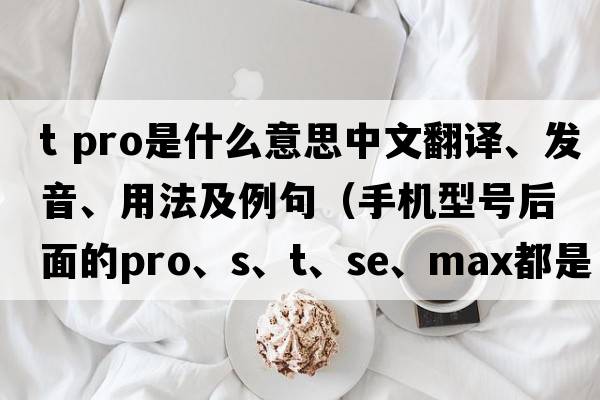 t pro是什么意思中文翻譯、發(fā)音、用法及例句（手機型號后面的Pro、S、T、SE、Max都是什么意思？）