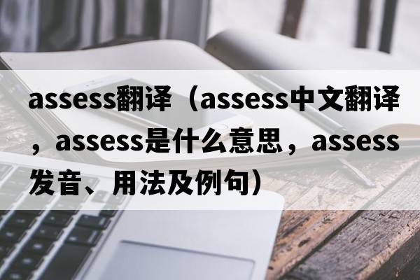 assess翻譯（assess中文翻譯，assess是什么意思，assess發(fā)音、用法及例句）