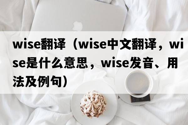 wise翻譯（wise中文翻譯，wise是什么意思，wise發(fā)音、用法及例句）