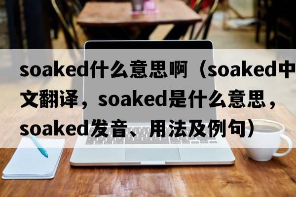 soaked什么意思?。╯oaked中文翻譯，soaked是什么意思，soaked發(fā)音、用法及例句）