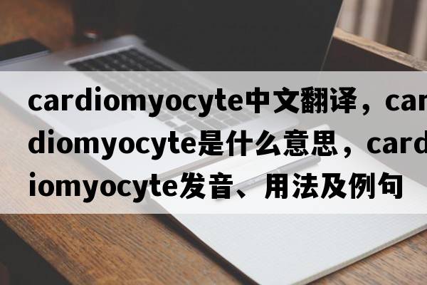 cardiomyocyte中文翻譯，cardiomyocyte是什么意思，cardiomyocyte發(fā)音、用法及例句