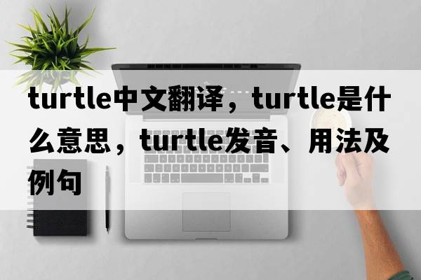 turtle中文翻譯，turtle是什么意思，turtle發(fā)音、用法及例句